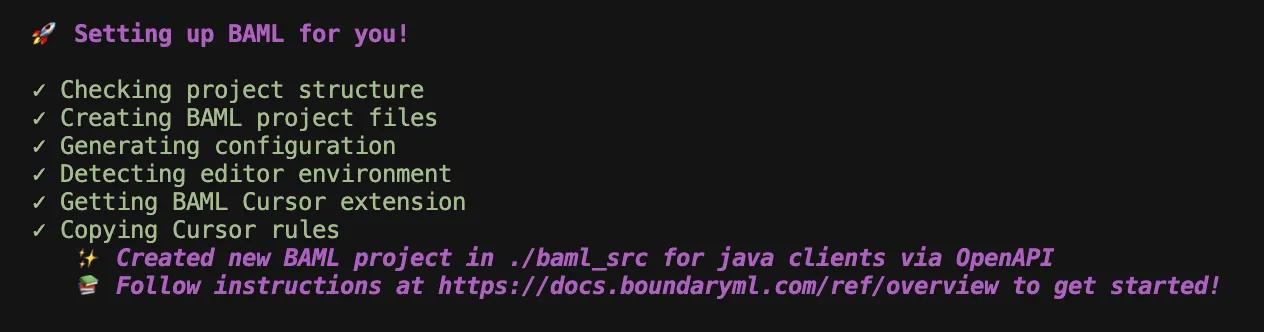 VSCode BAML